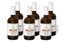 PACK DE 6 x Abricot - Huile végétale bio - 100 ml