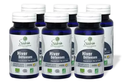 PACK DE 6 x Alternativ\'aroma - 120 capsules - Bio - Huiles essentielles