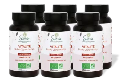 PACK DE 6 x BioBio Cynorrhodon - 60 g�lules - Bio