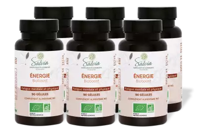 PACK DE 6 x Bioboost - 90 g�lules - Bio - Plantes