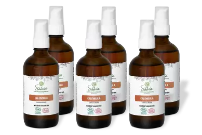 PACK DE 6 x Calendula - Mac�r�t huileux bio - 100 ml