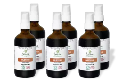 PACK DE 6 x Calophylle - Huile v�g�tale bio - 100 ml