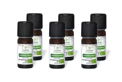 PACK DE 6 x Gen�vrier commun - Huile essentielle bio - 10 ml