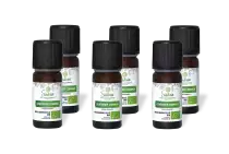 PACK DE 6 x Genévrier commun - Huile essentielle bio - 10 ml