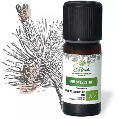Pin sylvestre - Huile essentielle bio* - 10 ml
