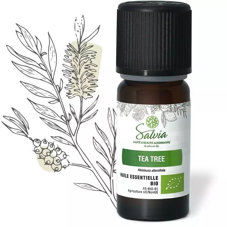 Huile essentielle Tea tree, Arbre à thé - Certifiée Bio HECT